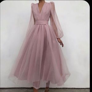 LN-Family Pink Mesh Midi Dress.